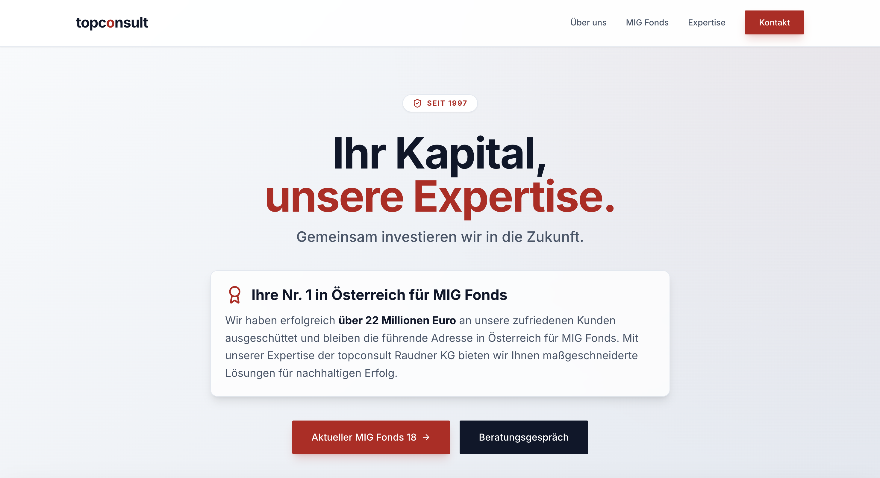 Website topconsult